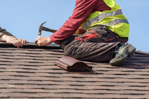 Roof Gutter Cleaning in Taylors Falls, MN